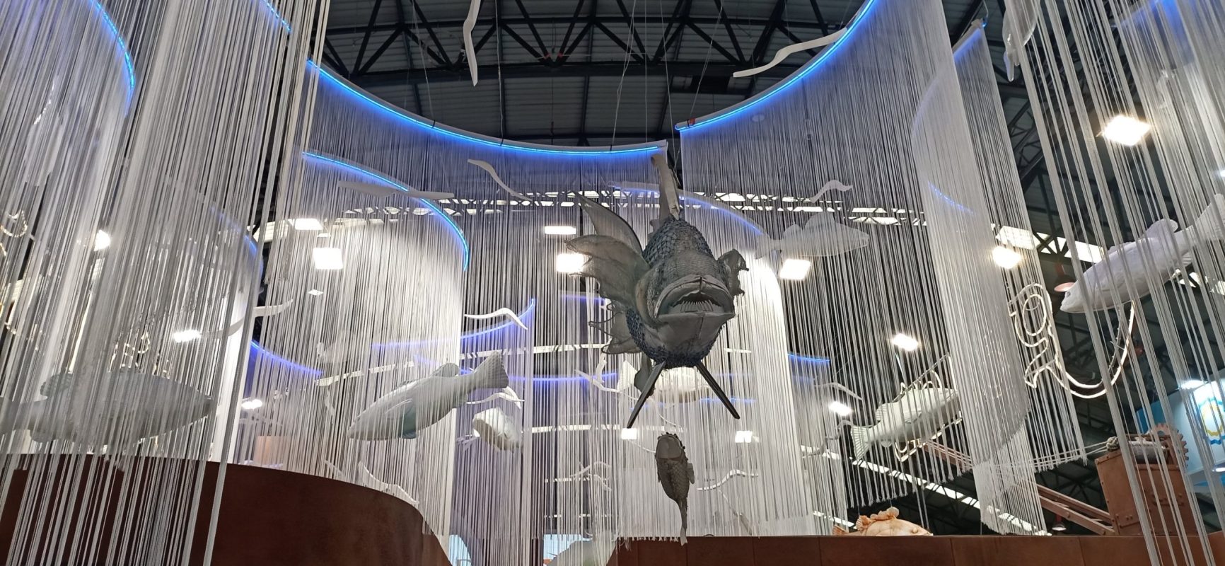 IMG_20221003_111739-min